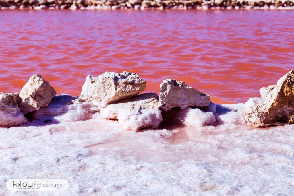 Placas y cúmulos de sal a orillas de una charca.