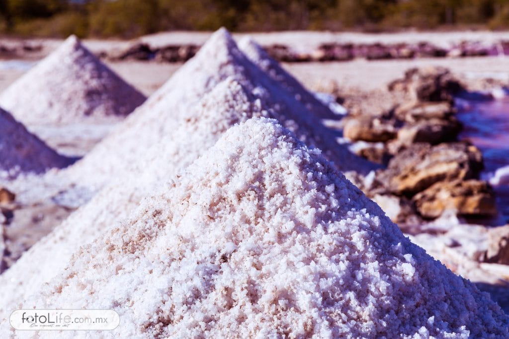 La sal puesta a secar.