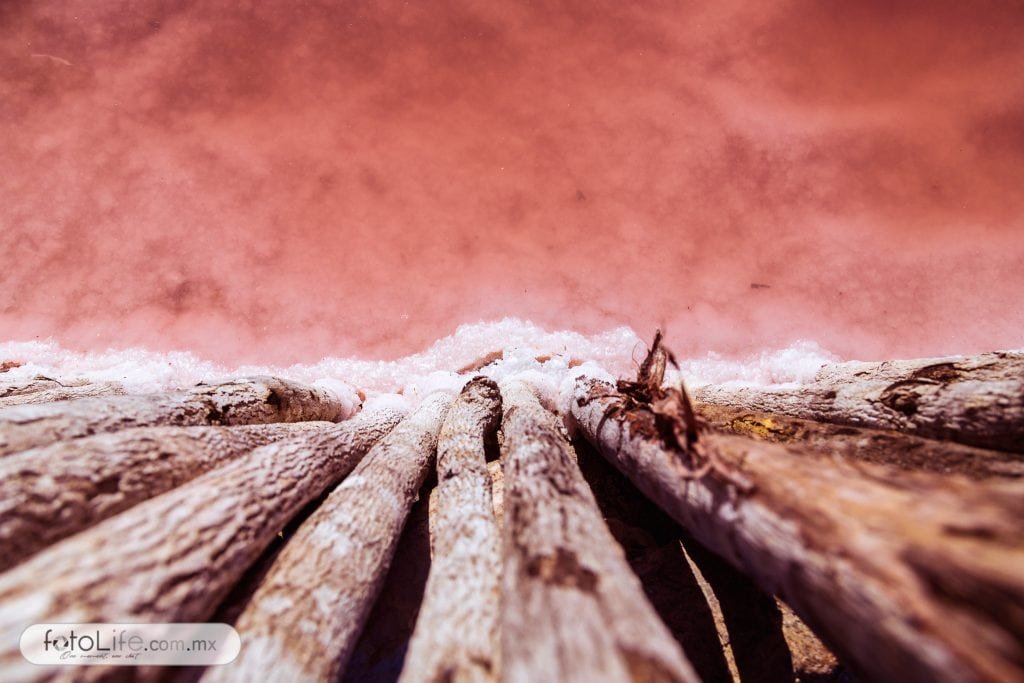 Se observan los granos de sal...