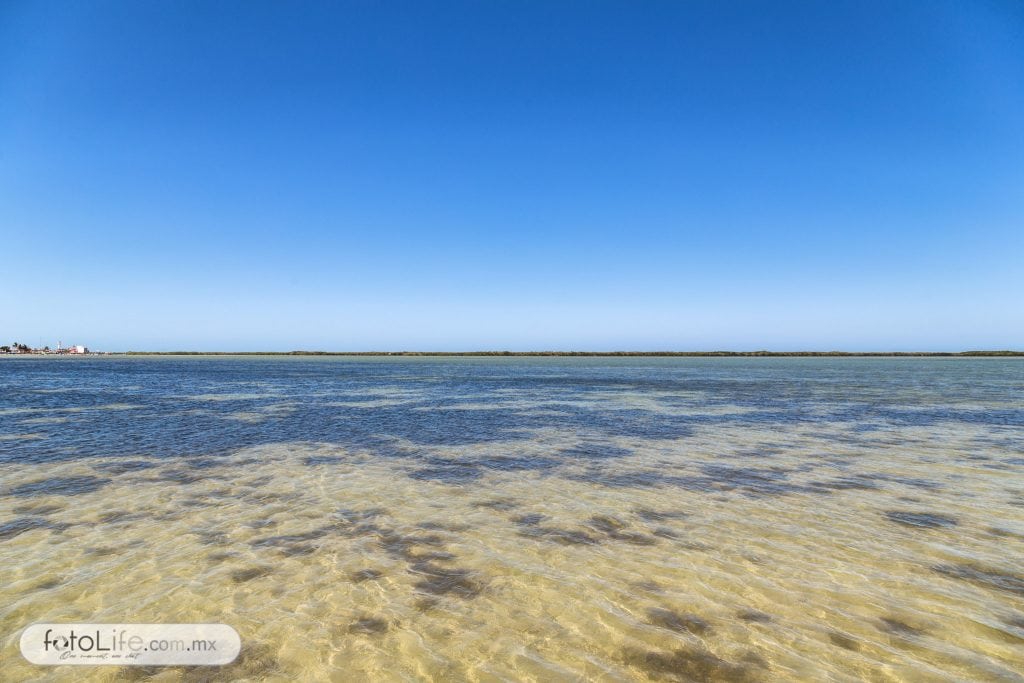 El agua se veía clara y limpia