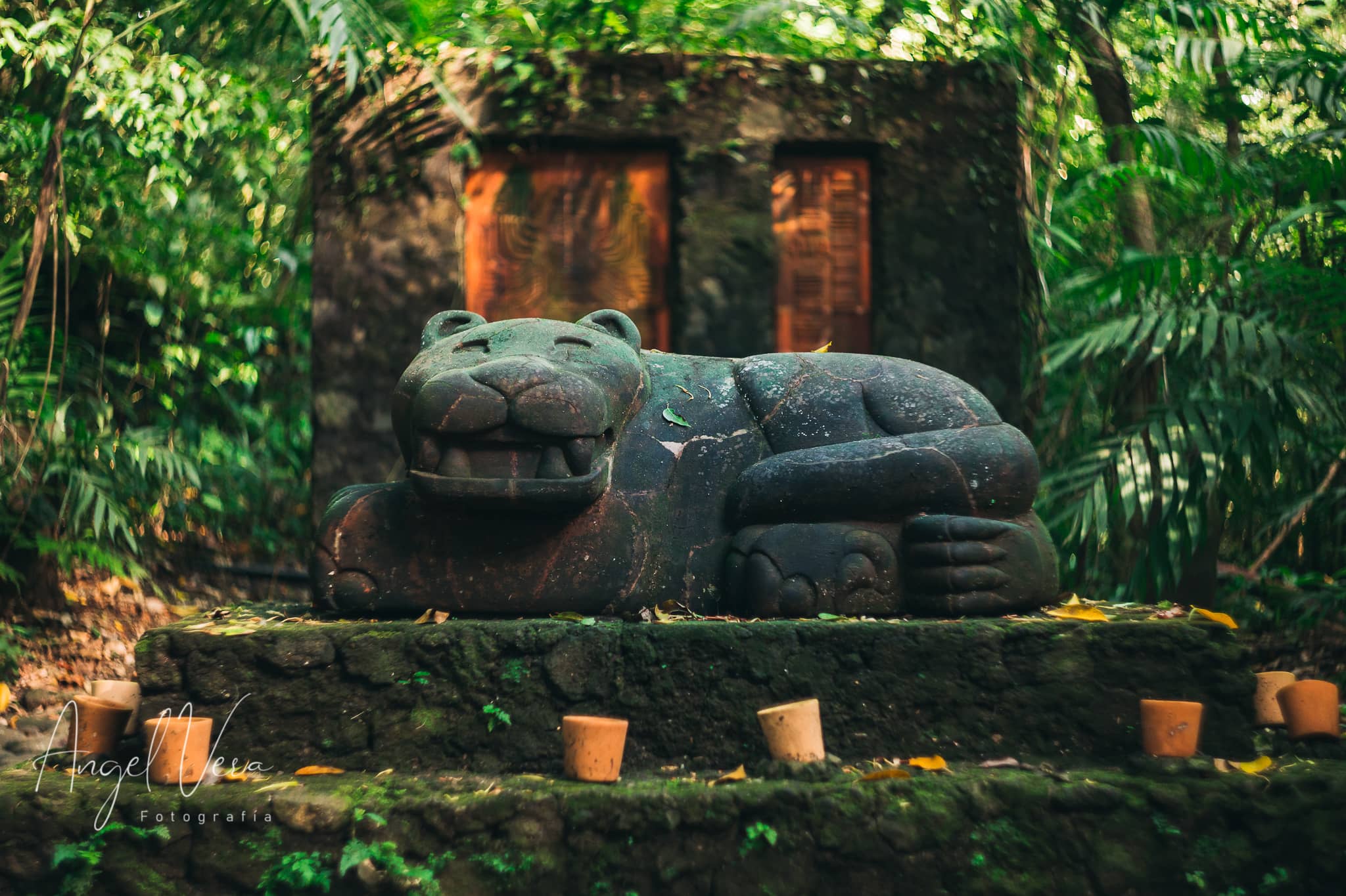 Centro Ecoturístico Nanciyaga