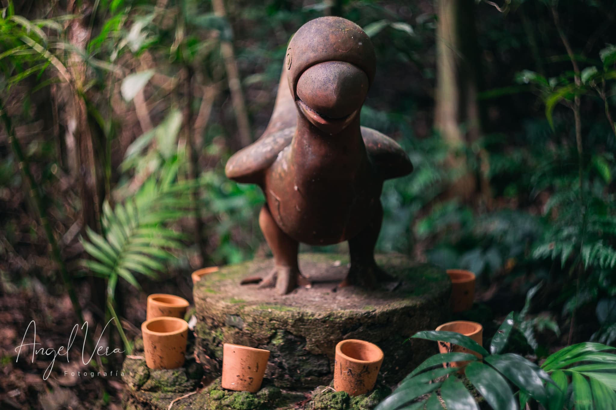 Centro Ecoturístico Nanciyaga