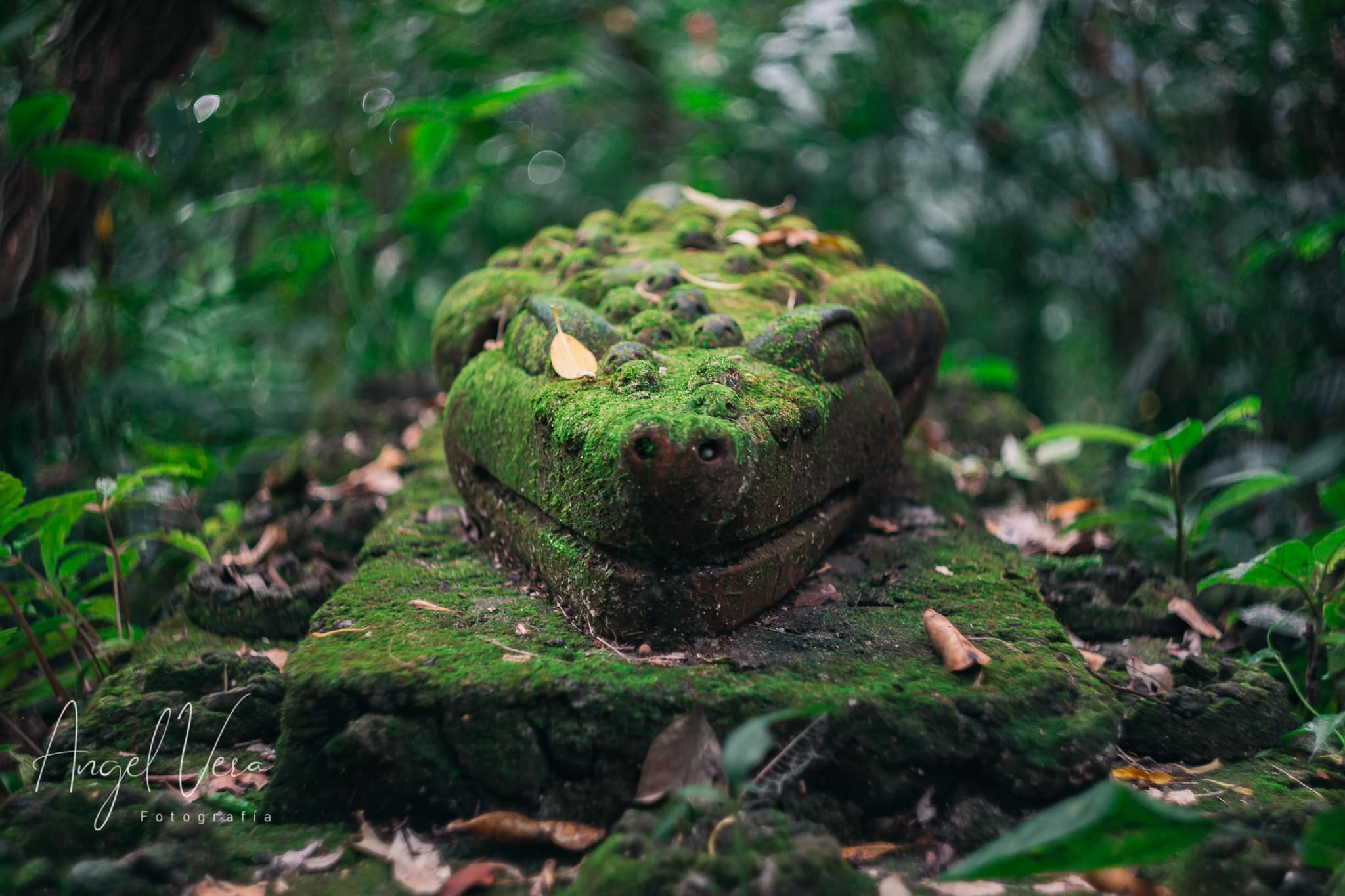 Centro Ecoturístico Nanciyaga