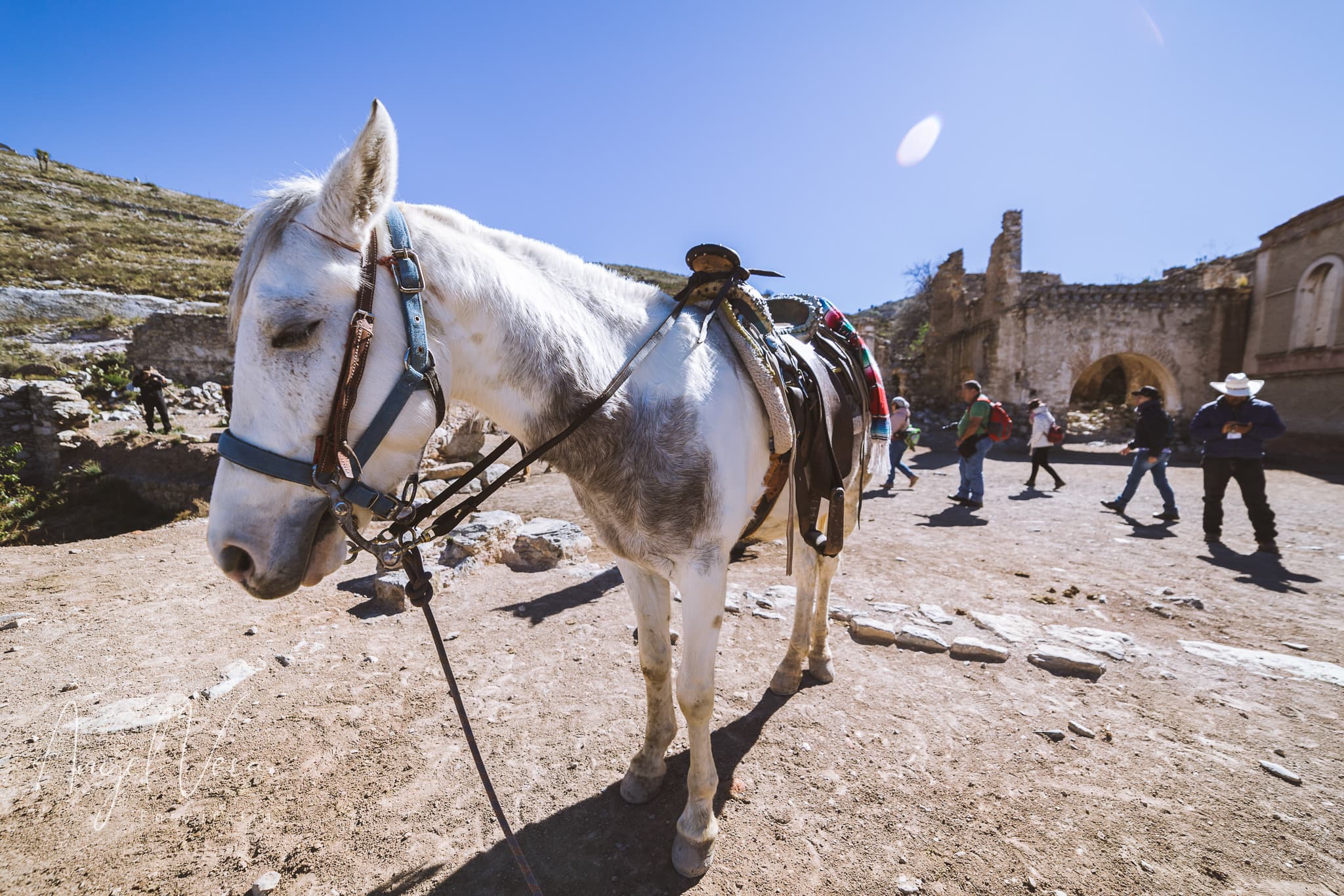 Real de Catorce